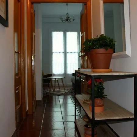 Cozy Hall Apartment Alicante