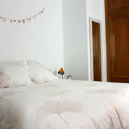 Apartment Cozy Hall